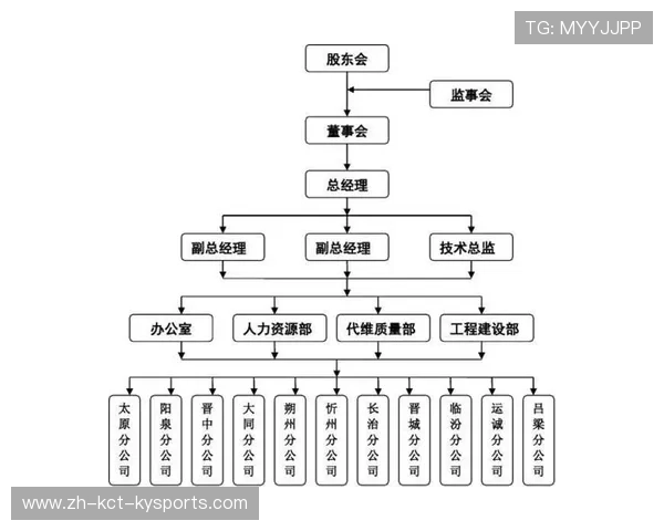 德甲球队股东结构及其决策影响